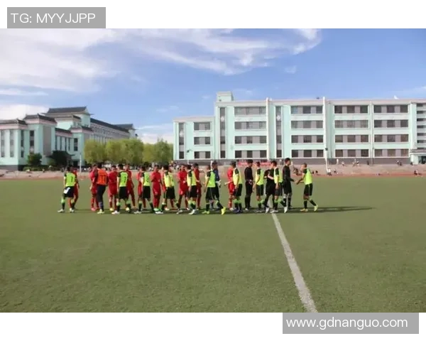 蚌埠籍足球明星的数量与成就探讨及其对地方足球发展的影响分析