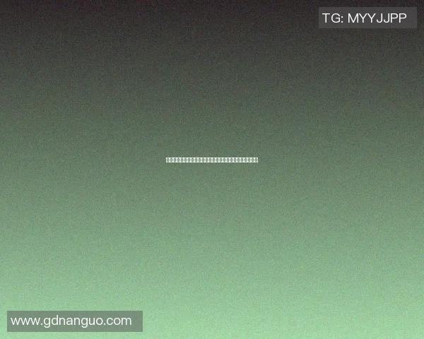 篮球明星与流浪狗的温情故事如何改变了他们的命运与生活